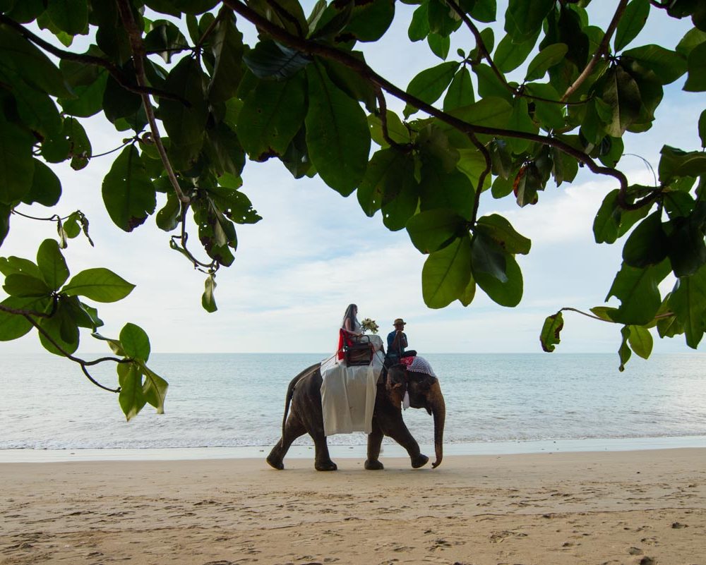 Wedding-Sarojin-resort-Khao Lak-wedding photographer