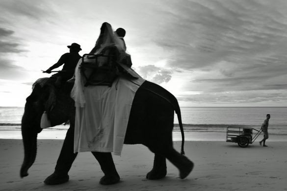 Wedding-Sarojin-resort-Khao Lak-wedding photographer